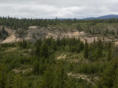 A wide establishing shot of a forested plateau of pine and open cutbanks in the interior hills north of Prince George under overcast daylight, the undeveloped g