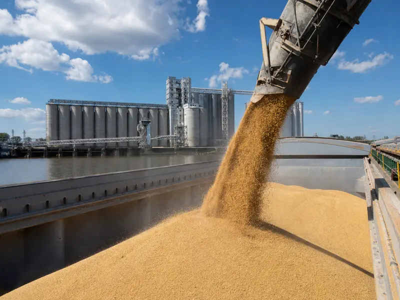 Wide daytime shot of golden soybeans cascading from a loading spout into the hold of a bulk cargo ship at a U.S. river grain export terminal, with the terminal'