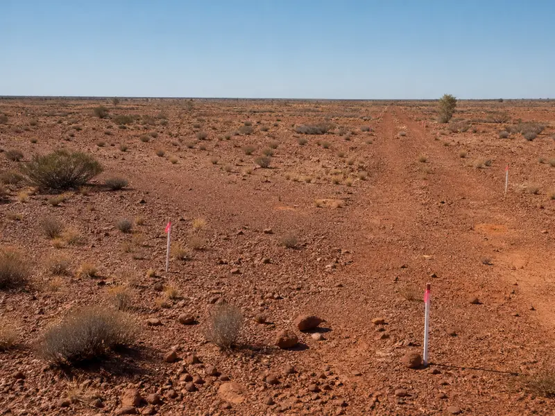 A wide establishing shot of the arid, scrub-covered red-earth terrain of a remote Western Australian lithium project site under bright midday daylight, with a d