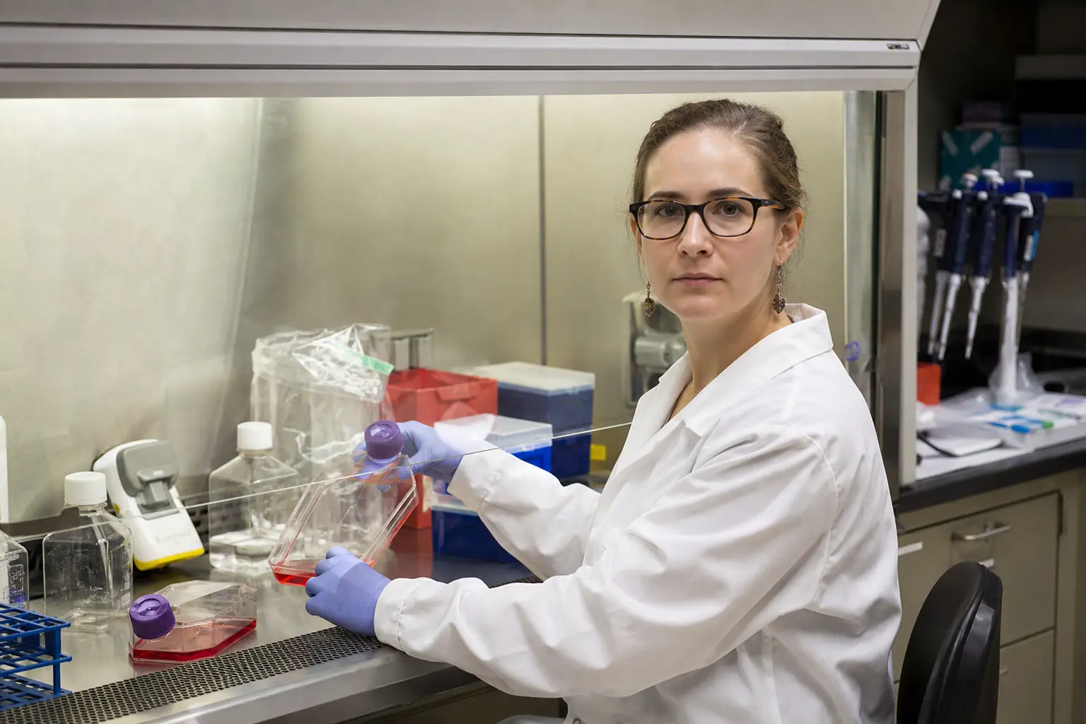 A researcher in a white coat and gloves working at a laminar flow cabinet in an ordinary biotech laboratory, handling cell culture flasks under everyday fluores