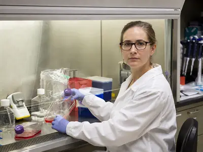A researcher in a white coat and gloves working at a laminar flow cabinet in an ordinary biotech laboratory, handling cell culture flasks under everyday fluores